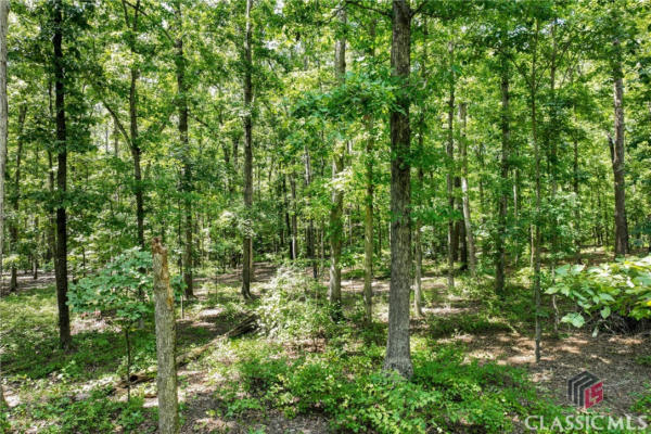 0 CEMETERY CIRCLE, COMER, GA 30629 - Image 1